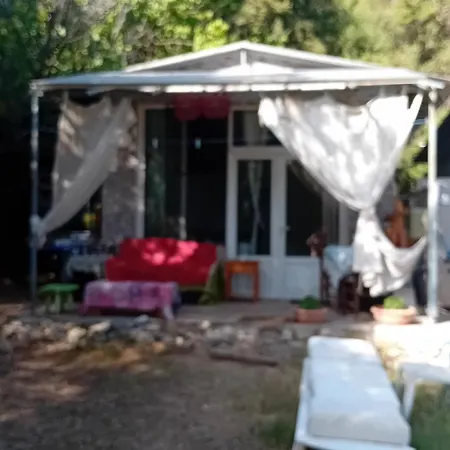 Katerinas Breams * 尼尔斯吉尼