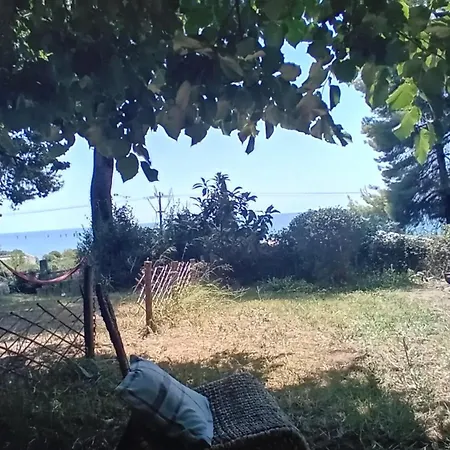 Katerinas Breams Nea Skioni