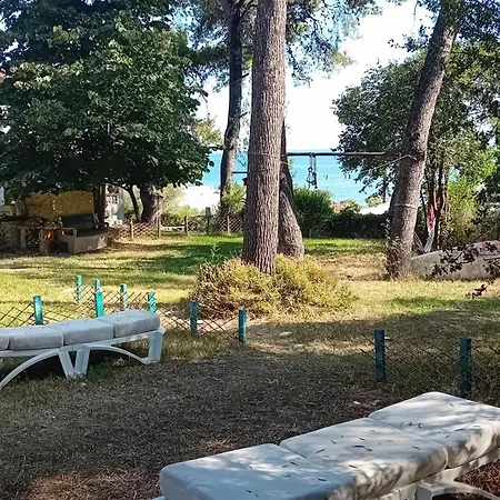 Katerinas Breams Nea Skioni